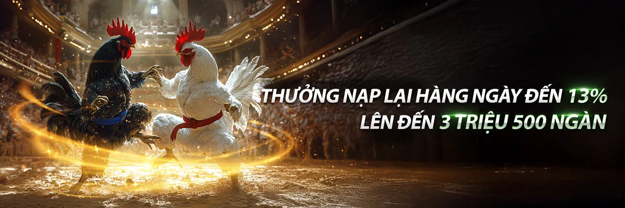 Cá cược thể thao u8888